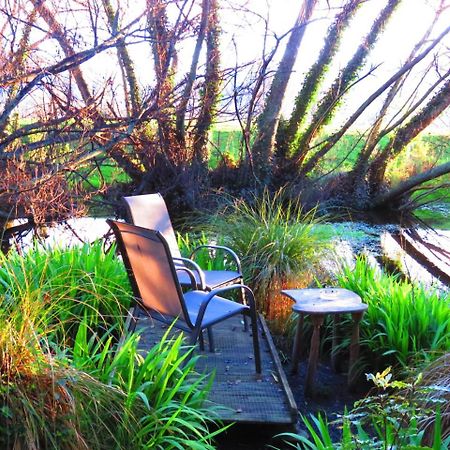 טקאקה Shady Rest Bed & Breakfast מראה חיצוני תמונה
