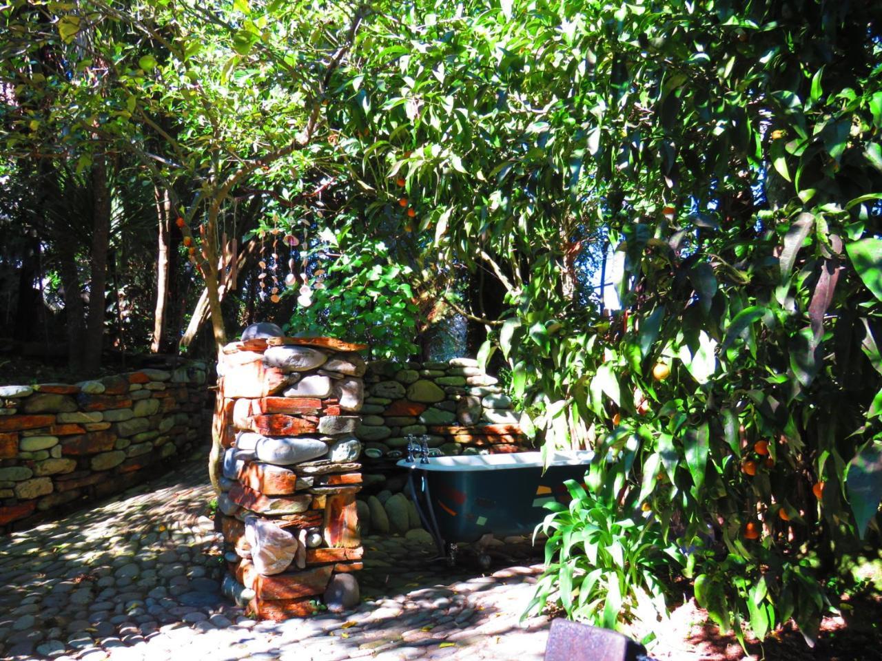 טקאקה Shady Rest Bed & Breakfast מראה חיצוני תמונה