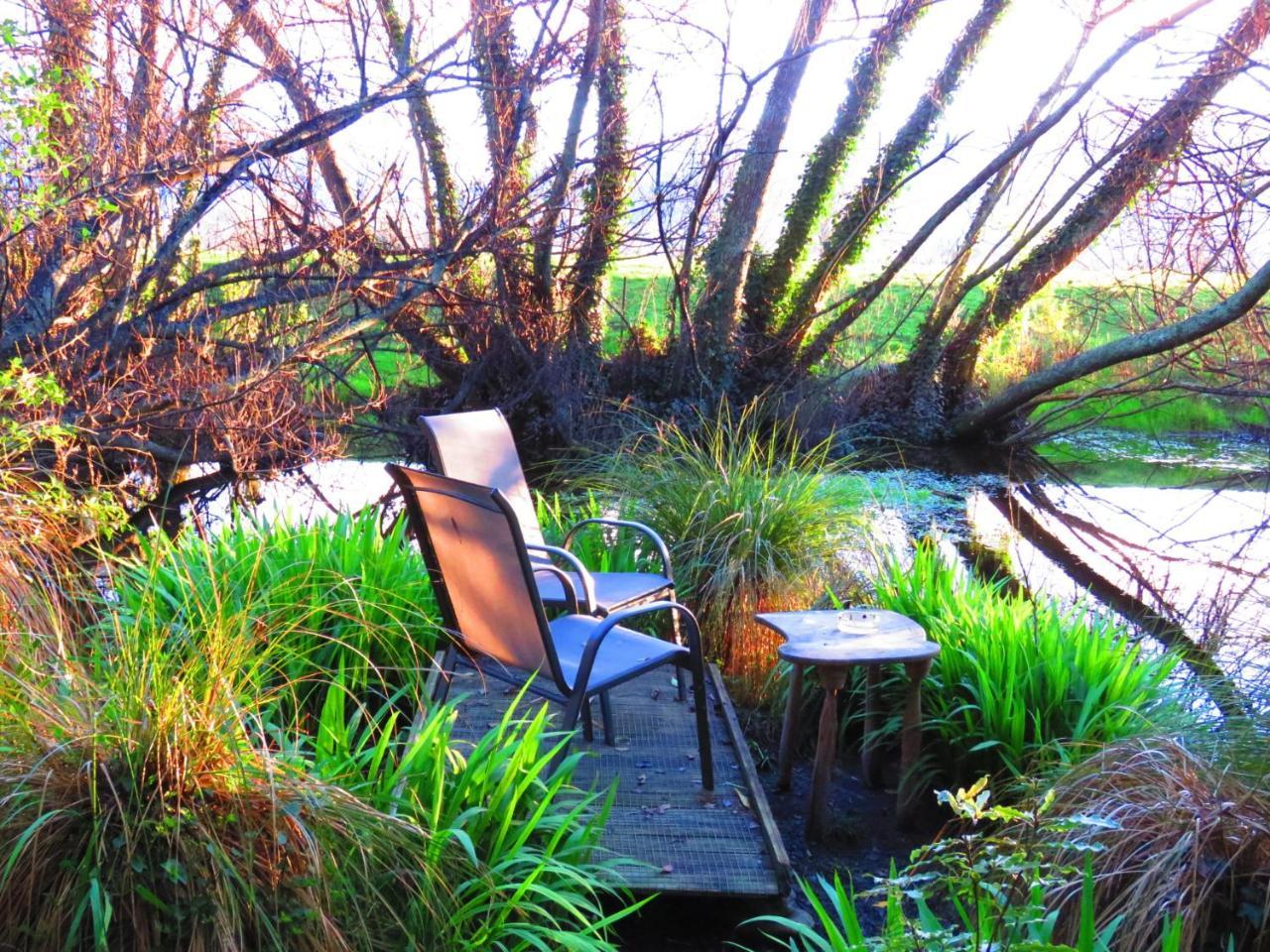 טקאקה Shady Rest Bed & Breakfast מראה חיצוני תמונה